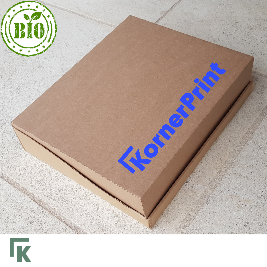 Plateau repas carton à compléter par 3 boites BSK