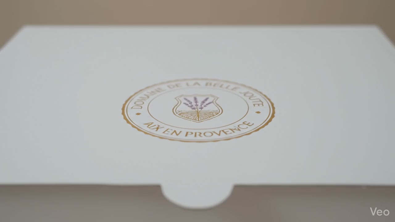 Charger la vidéo : 